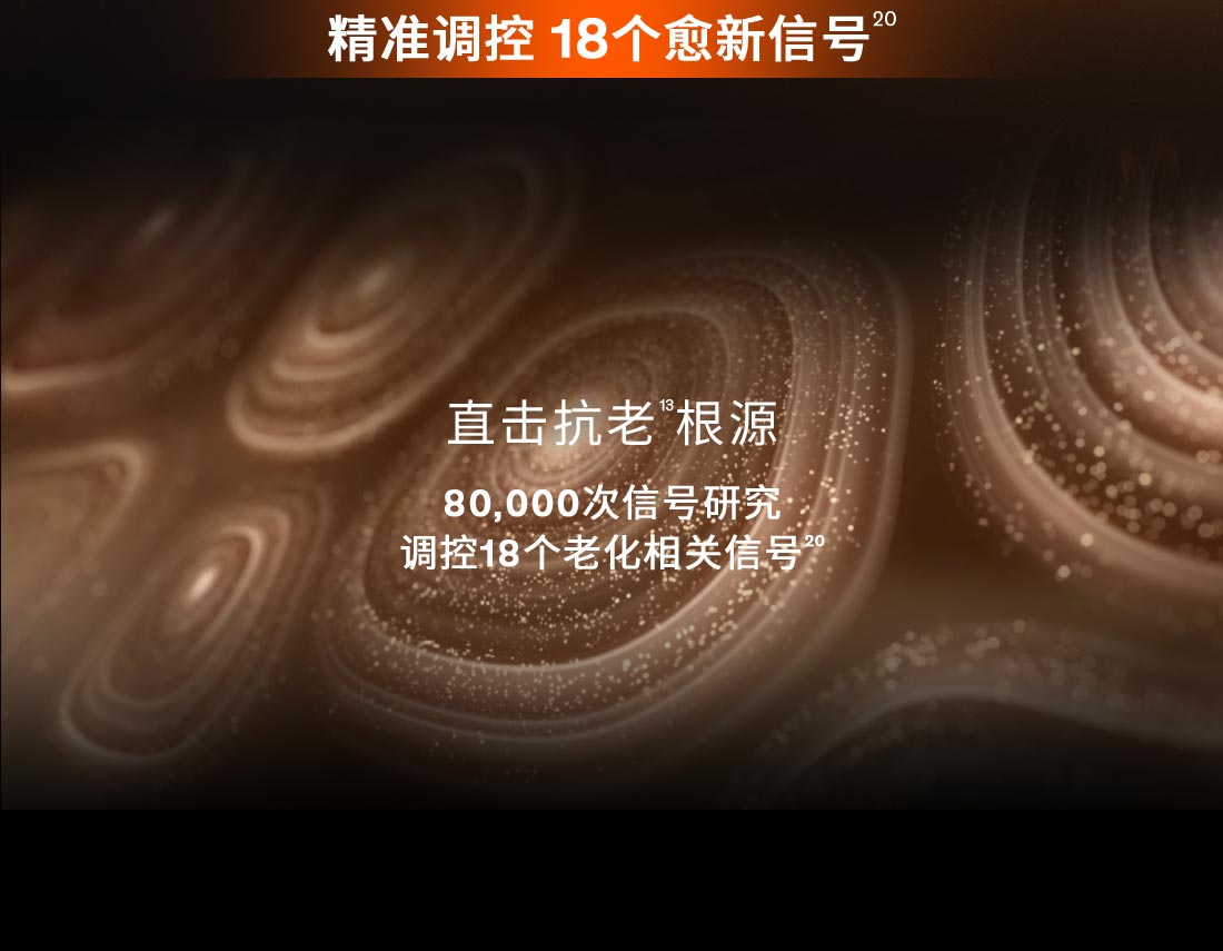 第六代 AG旗舰厅人参霜