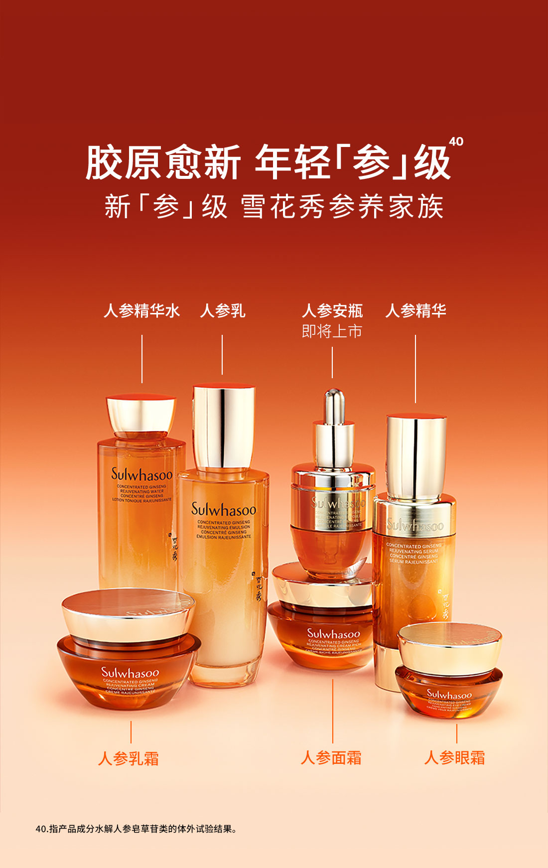 AG旗舰厅人参眼霜