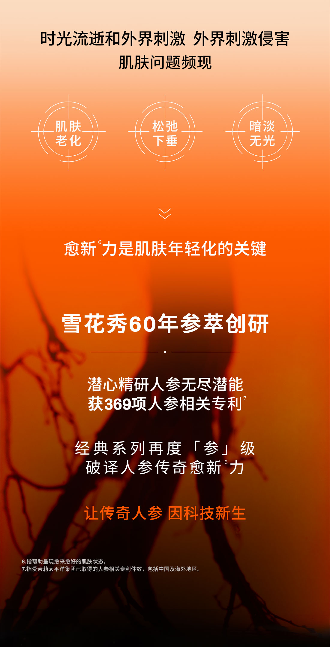 第六代 AG旗舰厅人参霜