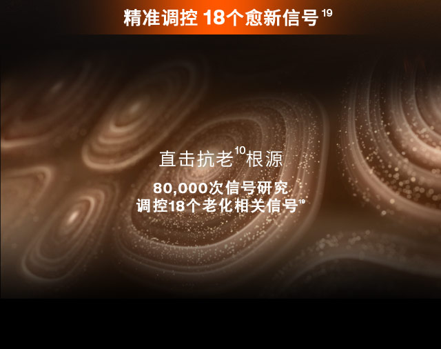 第六代 AG旗舰厅人参霜
