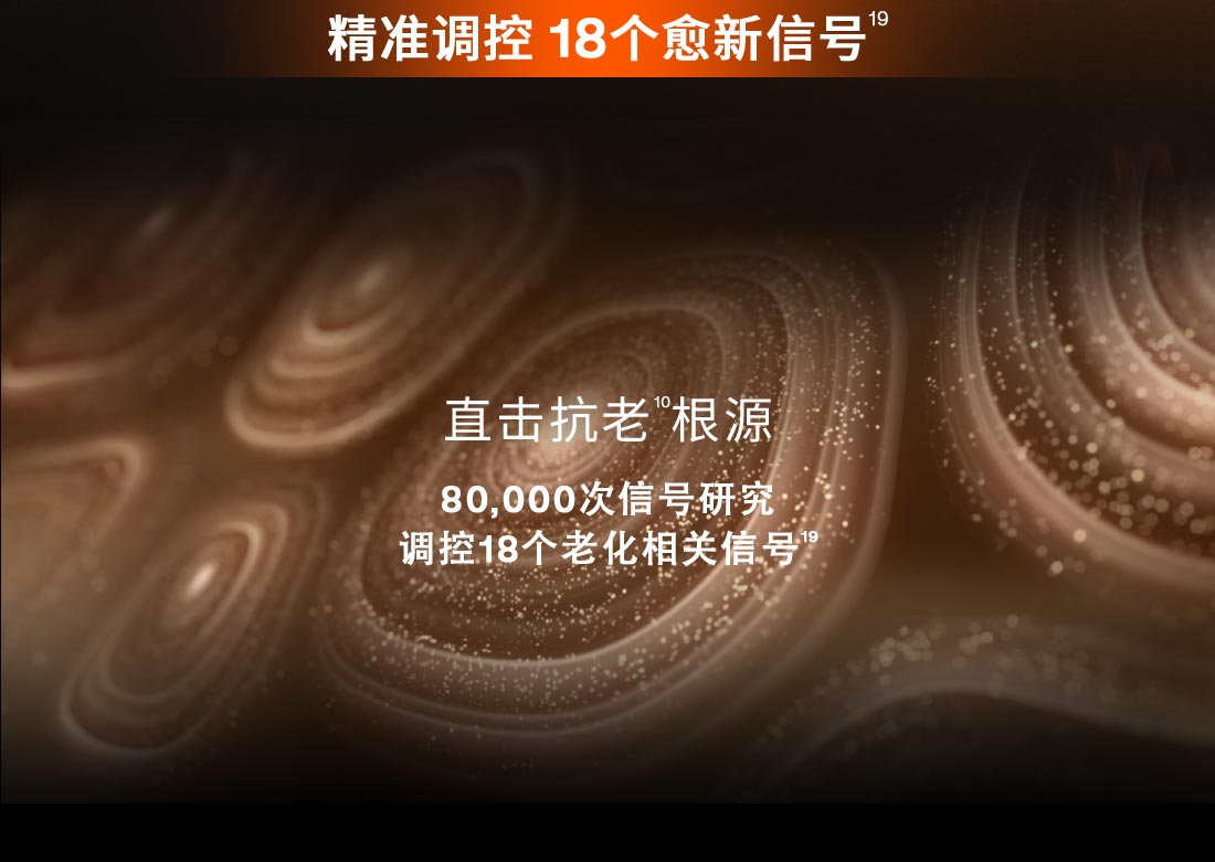 第六代 AG旗舰厅人参霜
